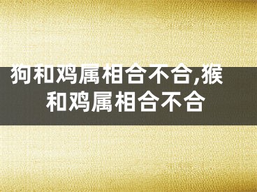 狗和鸡属相合不合,猴和鸡属相合不合