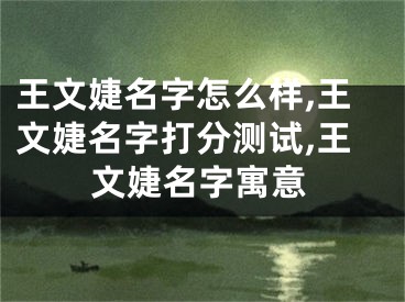 王文婕名字怎么样,王文婕名字打分测试,王文婕名字寓意