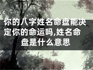你的八字姓名命盘能决定你的命运吗,姓名命盘是什么意思