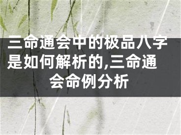 三命通会中的极品八字是如何解析的,三命通会命例分析