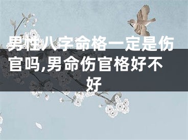 男性八字命格一定是伤官吗,男命伤官格好不好