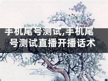手机尾号测试,手机尾号测试直播开播话术