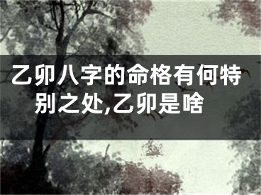 乙卯八字的命格有何特别之处,乙卯是啥