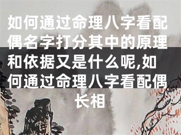 如何通过命理八字看配偶名字打分其中的原理和依据又是什么呢,如何通过命理八字看配偶长相