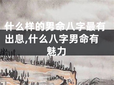 什么样的男命八字最有出息,什么八字男命有魅力