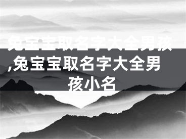 兔宝宝取名字大全男孩,兔宝宝取名字大全男孩小名