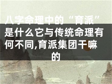 八字命理中的“育派”是什么它与传统命理有何不同,育派集团干嘛的