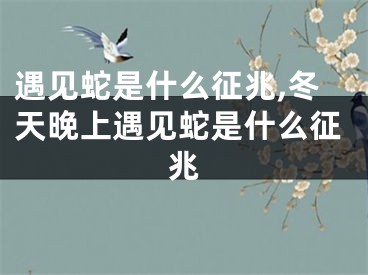 遇见蛇是什么征兆,冬天晚上遇见蛇是什么征兆