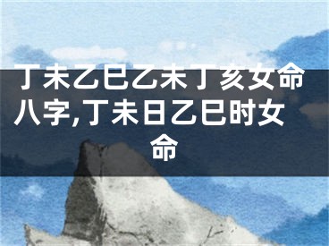 丁未乙巳乙未丁亥女命八字,丁未日乙巳时女命