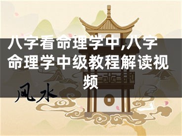 八字看命理学中,八字命理学中级教程解读视频