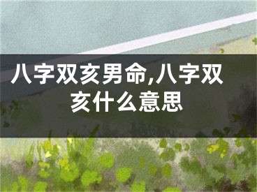 八字双亥男命,八字双亥什么意思