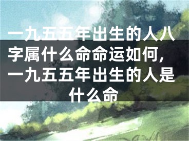 一九五五年出生的人八字属什么命命运如何,一九五五年出生的人是什么命
