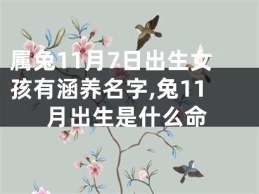 属兔11月7日出生女孩有涵养名字,兔11月出生是什么命