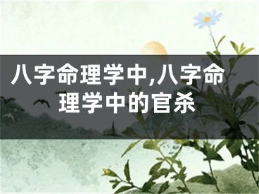 八字命理学中,八字命理学中的官杀