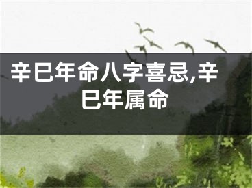 辛巳年命八字喜忌,辛巳年属命