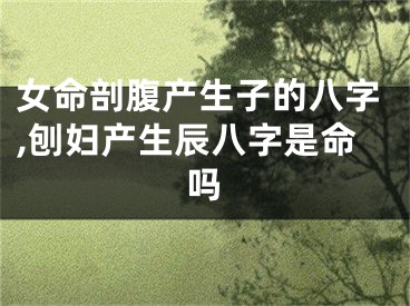 女命剖腹产生子的八字,刨妇产生辰八字是命吗