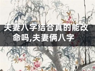 夫妻八字结合真的能改命吗,夫妻俩八字