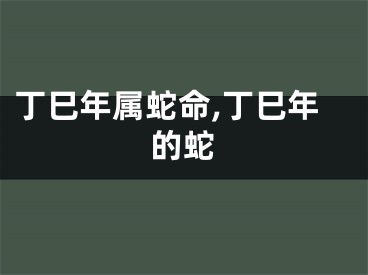 丁巳年属蛇命,丁巳年的蛇