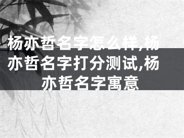 杨亦哲名字怎么样,杨亦哲名字打分测试,杨亦哲名字寓意
