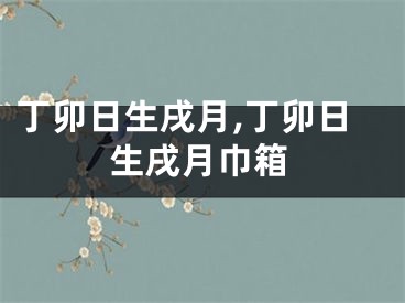 丁卯日生戌月,丁卯日生戌月巾箱