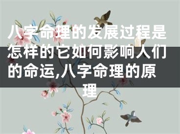 八字命理的发展过程是怎样的它如何影响人们的命运,八字命理的原理