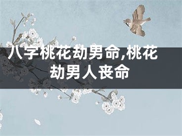 八字桃花劫男命,桃花劫男人丧命