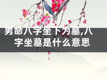 男命八字坐下为墓,八字坐墓是什么意思