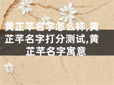 黄芷芊名字怎么样,黄芷芊名字打分测试,黄芷芊名字寓意