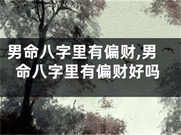男命八字里有偏财,男命八字里有偏财好吗