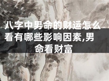 八字中男命的财运怎么看有哪些影响因素,男命看财富