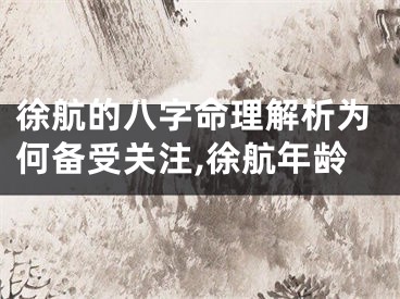徐航的八字命理解析为何备受关注,徐航年龄