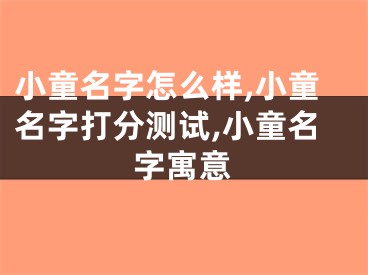 小童名字怎么样,小童名字打分测试,小童名字寓意
