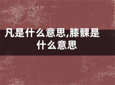 凡是什么意思,膝髁是什么意思