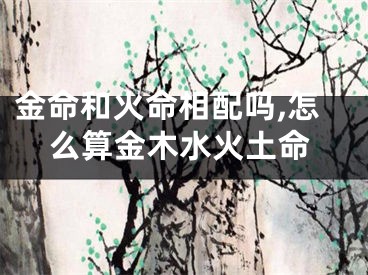金命和火命相配吗,怎么算金木水火土命