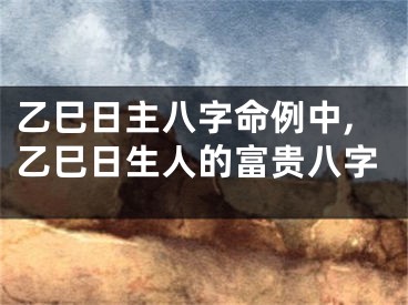 乙巳日主八字命例中,乙巳日生人的富贵八字