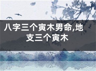 八字三个寅木男命,地支三个寅木