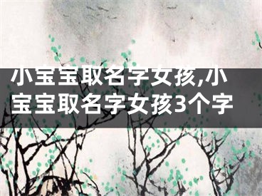 小宝宝取名字女孩,小宝宝取名字女孩3个字