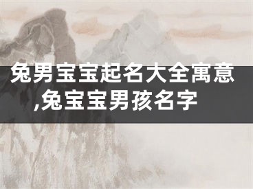 兔男宝宝起名大全寓意,兔宝宝男孩名字