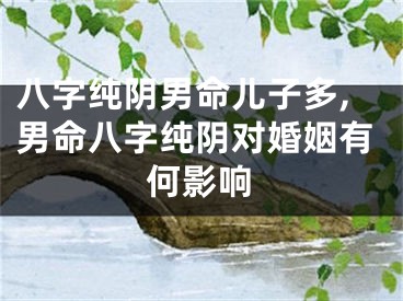 八字纯阴男命儿子多,男命八字纯阴对婚姻有何影响