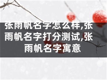 张雨帆名字怎么样,张雨帆名字打分测试,张雨帆名字寓意