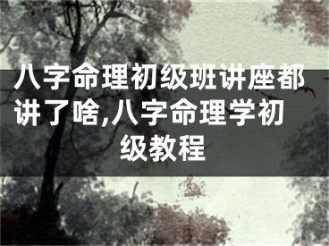 八字命理初级班讲座都讲了啥,八字命理学初级教程