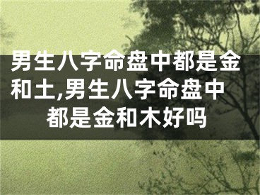 男生八字命盘中都是金和土,男生八字命盘中都是金和木好吗