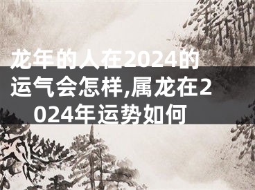 龙年的人在2024的运气会怎样,属龙在2024年运势如何