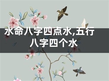 水命八字四点水,五行八字四个水