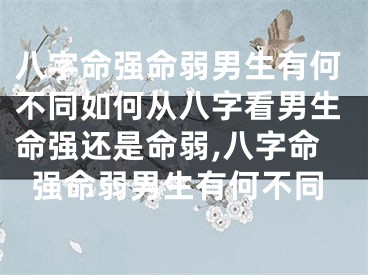 八字命强命弱男生有何不同如何从八字看男生命强还是命弱,八字命强命弱男生有何不同