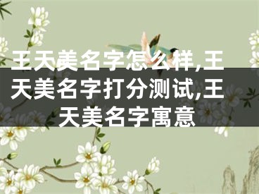 王天美名字怎么样,王天美名字打分测试,王天美名字寓意