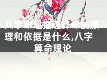 八字命理推理算命的原理和依据是什么,八字算命理论