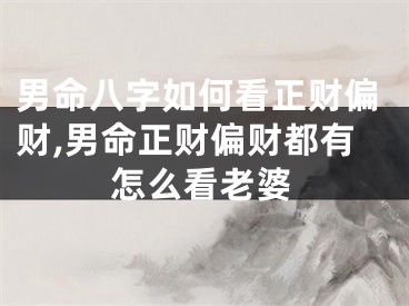 男命八字如何看正财偏财,男命正财偏财都有怎么看老婆