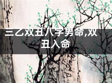 三乙双丑八字男命,双丑入命
