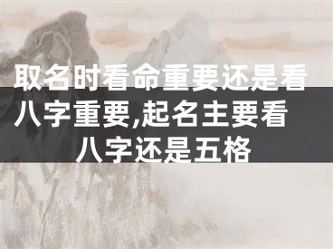取名时看命重要还是看八字重要,起名主要看八字还是五格